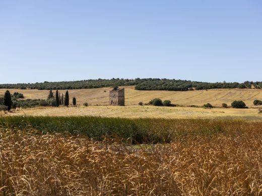 Farm in Elvas, Distrito de Portalegre