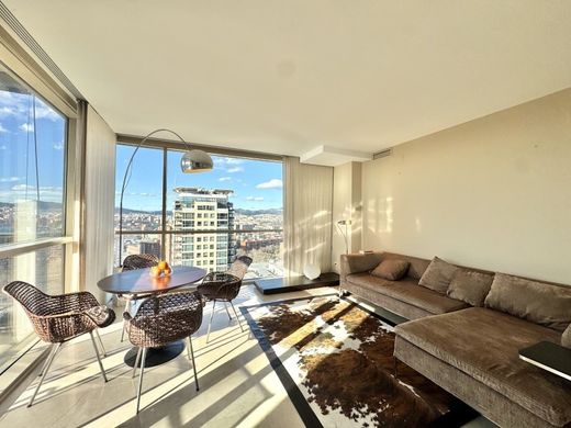 Daire Barselona, Província de Barcelona