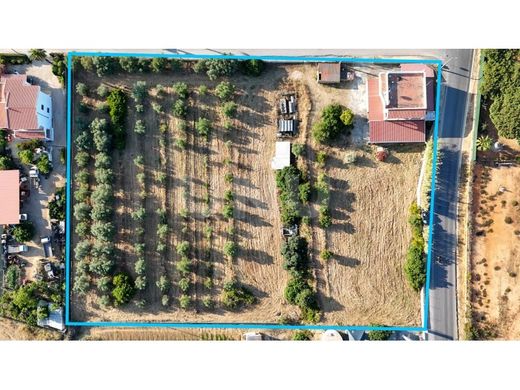 Arsa Faro, Distrito de Faro