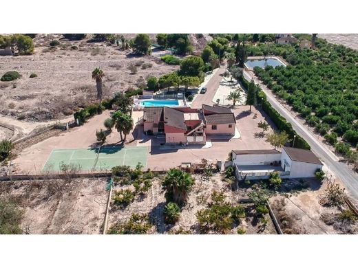 Rural or Farmhouse in Algorfa, Alicante