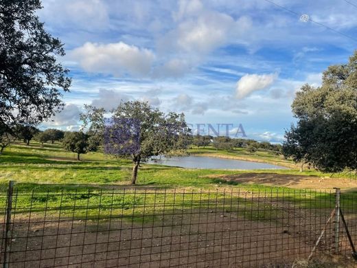 Rural or Farmhouse in Aliseda, Caceres