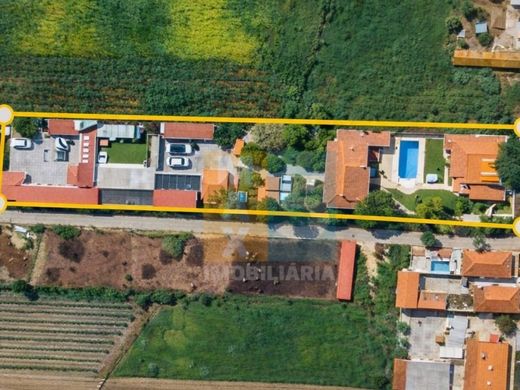 Luxury home in Alpiarça, Distrito de Santarém