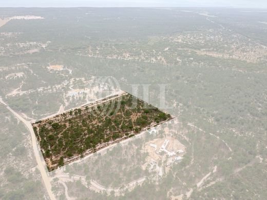 Terreno a Grândola, Distrito de Setúbal