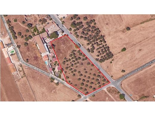 Land in Montijo, Distrito de Setúbal