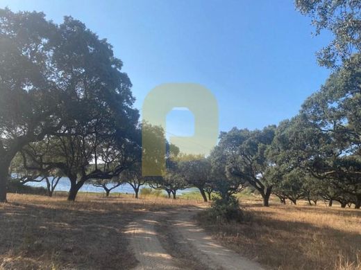 Finca en Montemor-o-Novo, Montemor-O-Novo