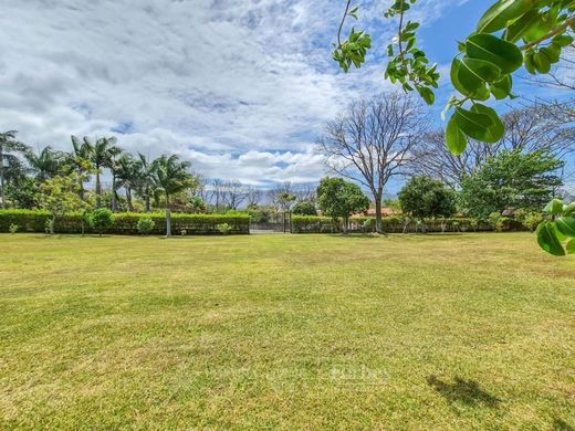 토지 / Santa Ana, Provincia de San José