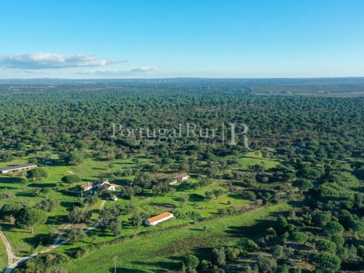 Finca en Vendas Novas, Évora