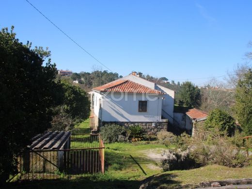 Farma w Oliveira do Hospital, Distrito de Coimbra