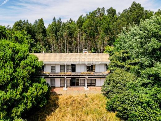 Maison de luxe à Figueiró dos Vinhos, Figueiró Dos Vinhos