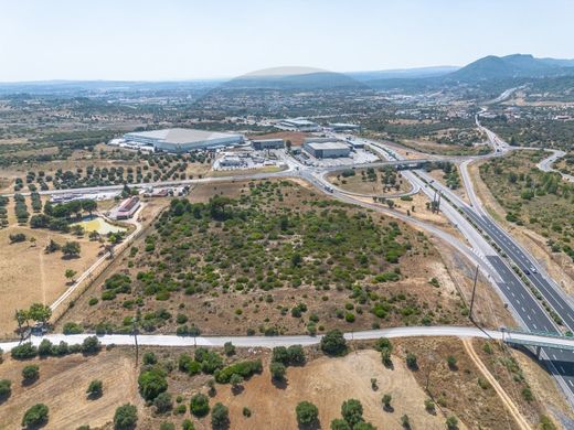 Αγροτεμάχιο σε Torres Novas, Distrito de Santarém