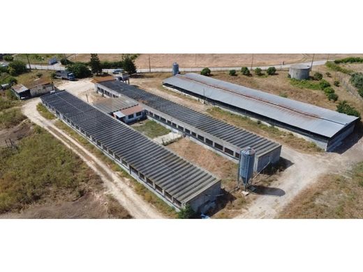 Αγροτεμάχιο σε Palmela, Distrito de Setúbal