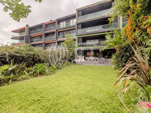 Apartment in Funchal, Madeira