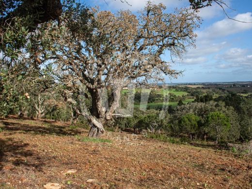Luxury home in Odemira, Distrito de Beja
