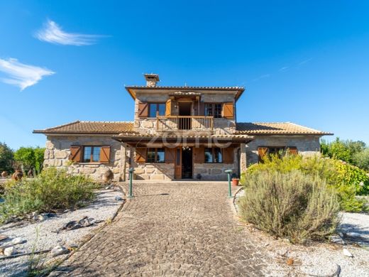 Luxus-Haus in Carregal do Sal, Distrito de Viseu