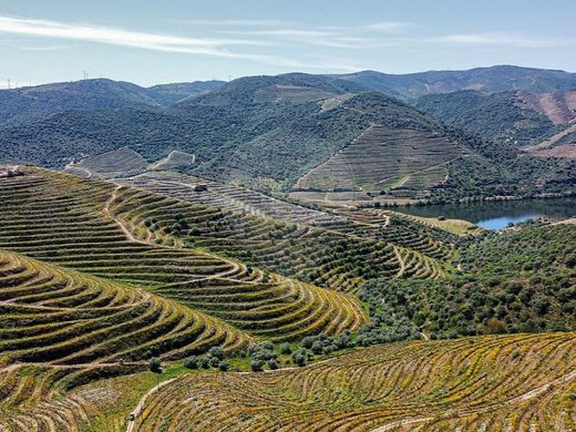 Luxury home in Torre de Moncorvo, Bragança