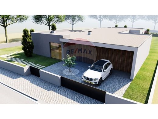 호화 저택 / Vila Verde, Distrito de Braga