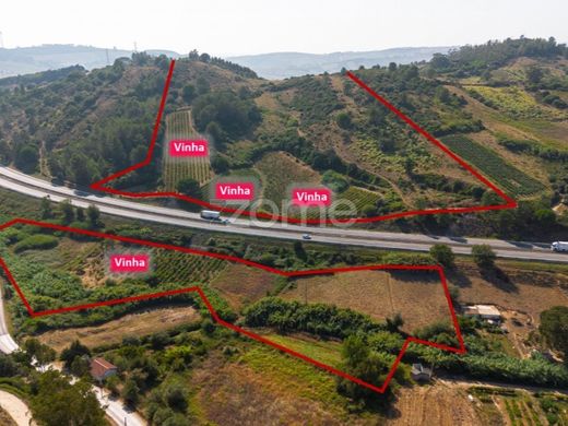 Αγροτεμάχιο σε Torres Vedras, Distrito de Lisboa