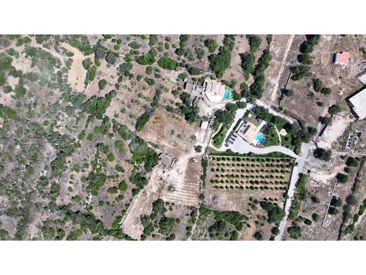 Terreno - Albufeira, Faro