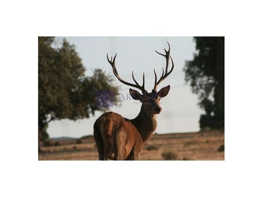 Βίλα σε Trujillo, Provincia de Cáceres