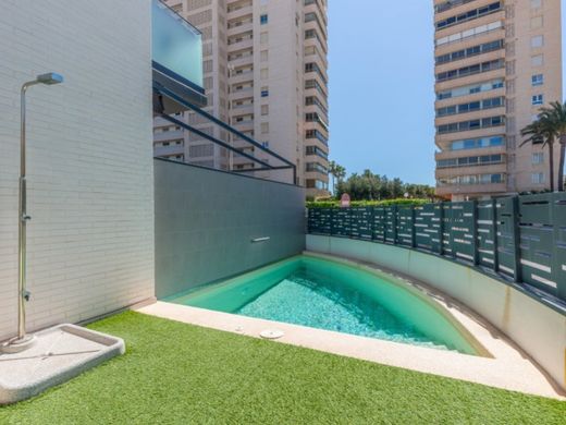 Apartment in El Campello, Alicante