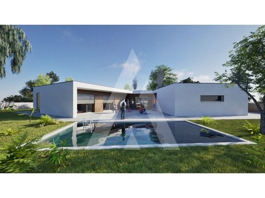 호화 저택 / Viseu, Distrito de Viseu