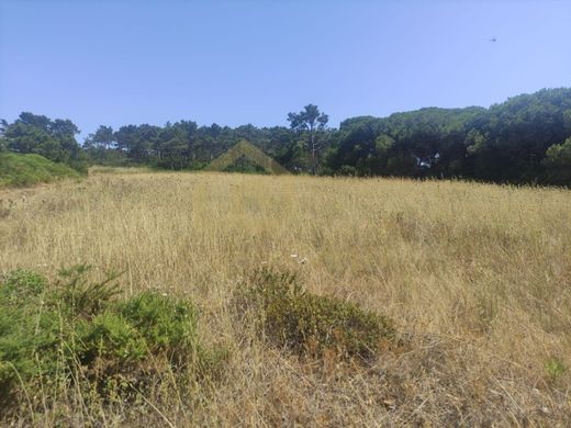 Land in Sesimbra, Distrito de Setúbal