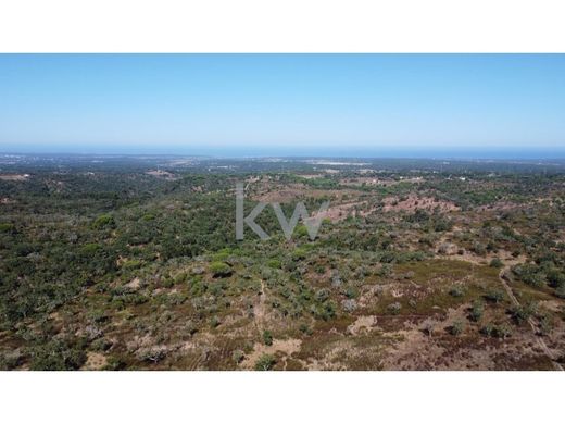 Arsa Grândola, Distrito de Setúbal