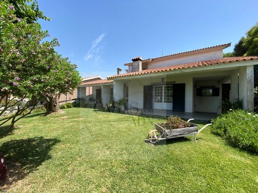 Luxury home in Aveiro
