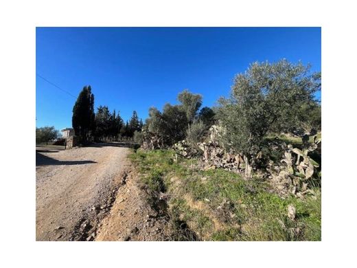 Αγροτεμάχιο σε Palau-saverdera, Província de Girona