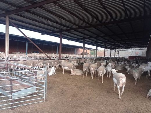 Maison de luxe à Motilla del Palancar, Cuenca