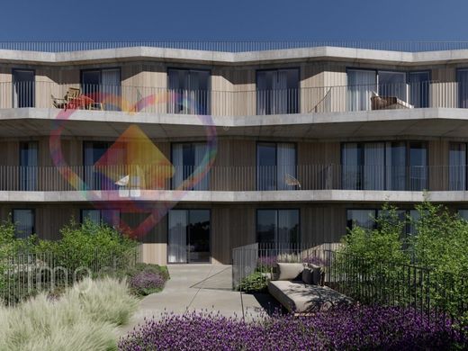 Daire Porto, Distrito do Porto