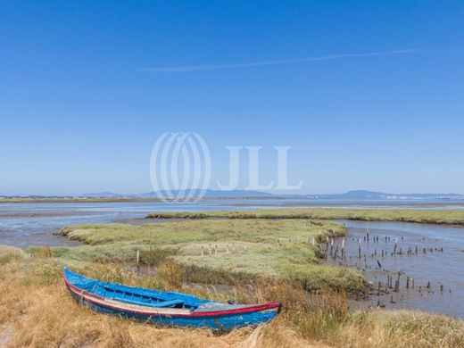 Land in Comporta, Alcácer do Sal