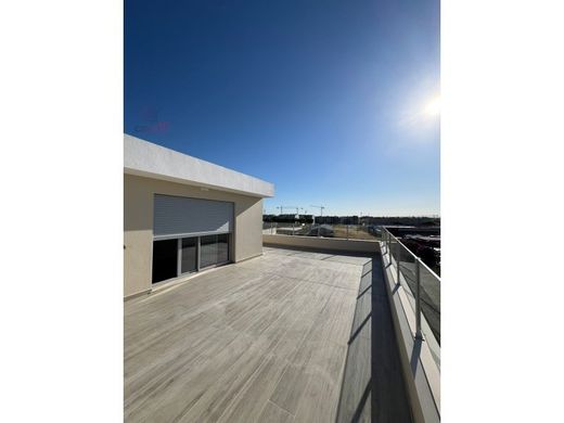 Daire Montijo, Distrito de Setúbal