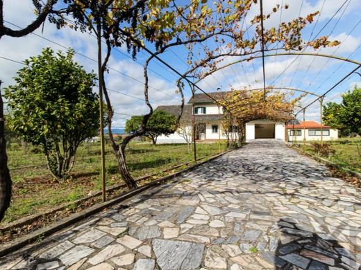 호화 저택 / Tábua, Distrito de Coimbra