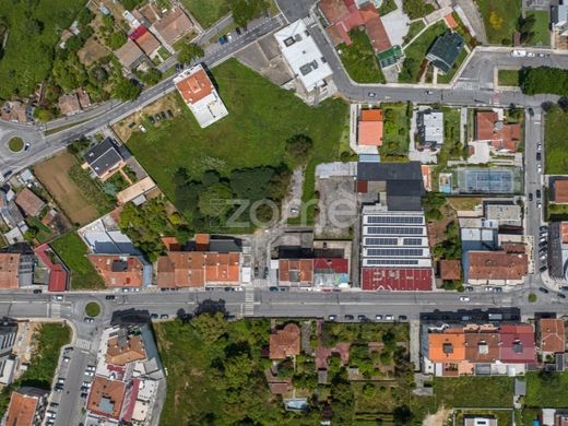 São João da Madeira, Distrito de Aveiroの土地