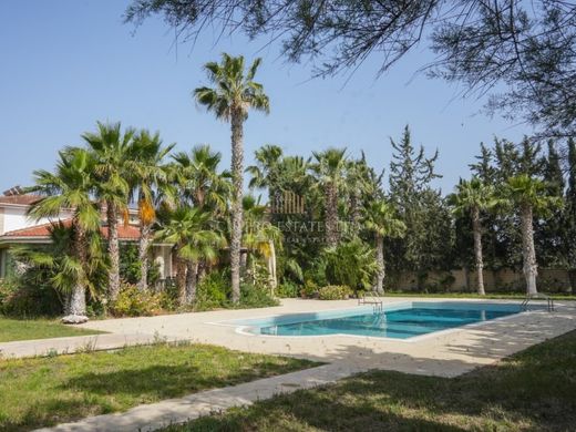 Villa in Larnaca, Eparchía Lárnakas