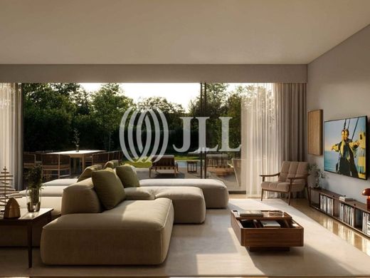 Teren w Porto, Distrito do Porto