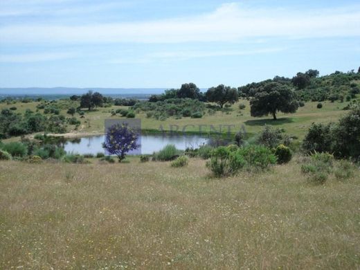 Boerderij in Coria, Provincia de Cáceres