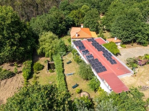 Maison de luxe à Santa Comba Dão, Distrito de Viseu