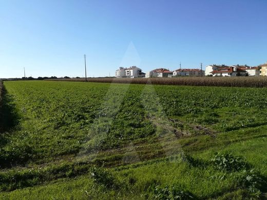 Land in Vagos, Aveiro