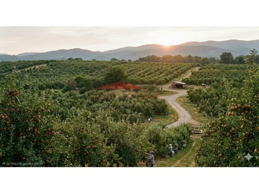 Grond in Setúbal, Distrito de Setúbal