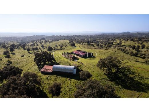 Finca en Odemira, Beja