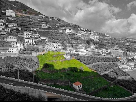 Land in Câmara de Lobos, Madeira