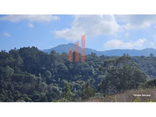 地皮  Sintra, Distrito de Lisboa