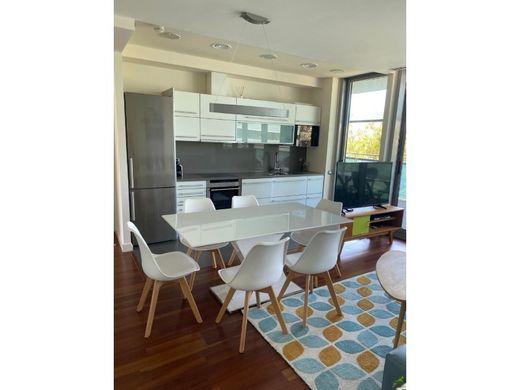 Daire Barselona, Província de Barcelona