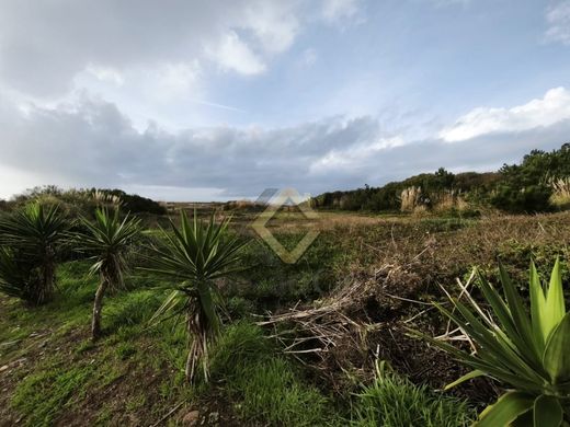 ‏קרקע ב  וילה נובה דה גאיה
, Vila Nova de Gaia