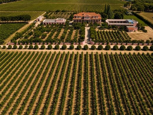 Farm in Palmela, Distrito de Setúbal