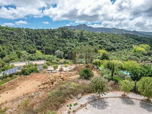 Land in Sintra, Lisbon
