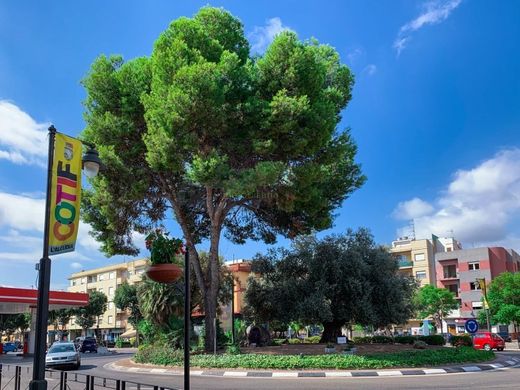 Land in L'Alcúdia, Valencia