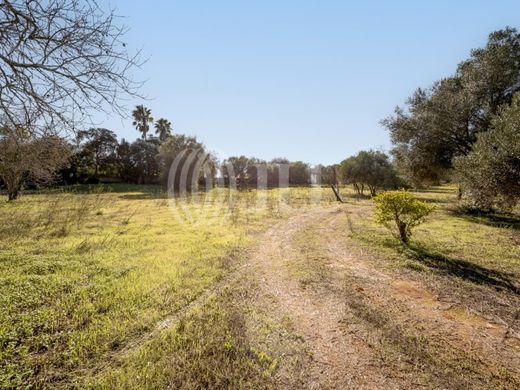 Grond in Silves, Distrito de Faro